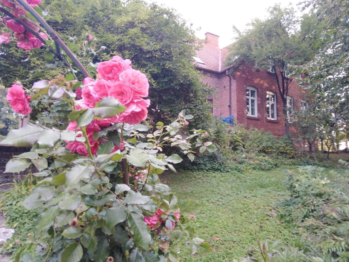 Alte Schule Am See Бискупец Экстерьер фото