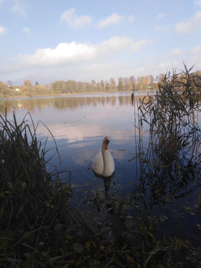 Alte Schule Am See Бискупец Экстерьер фото